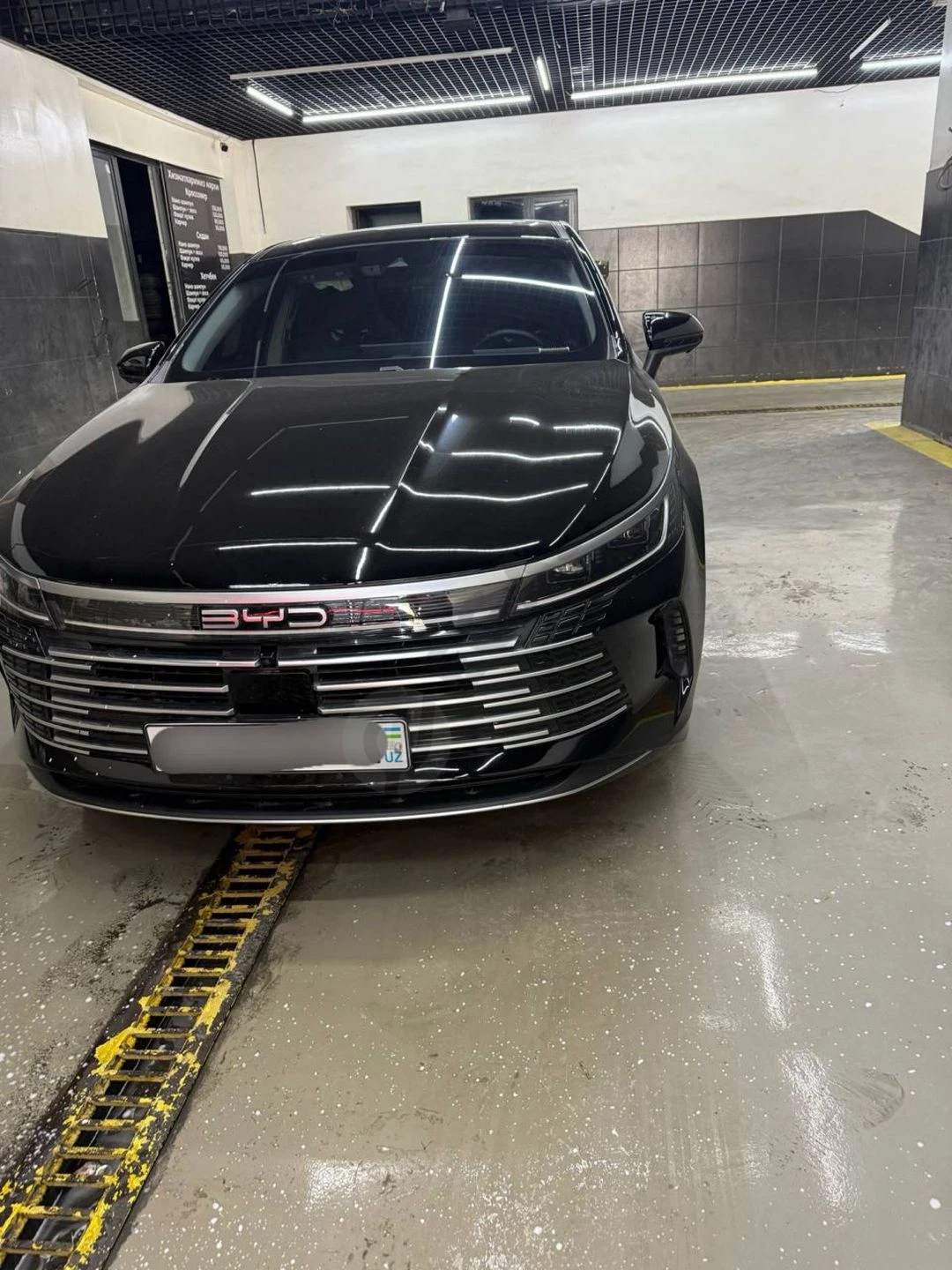 Byd chazor flagship - Cover Photo
