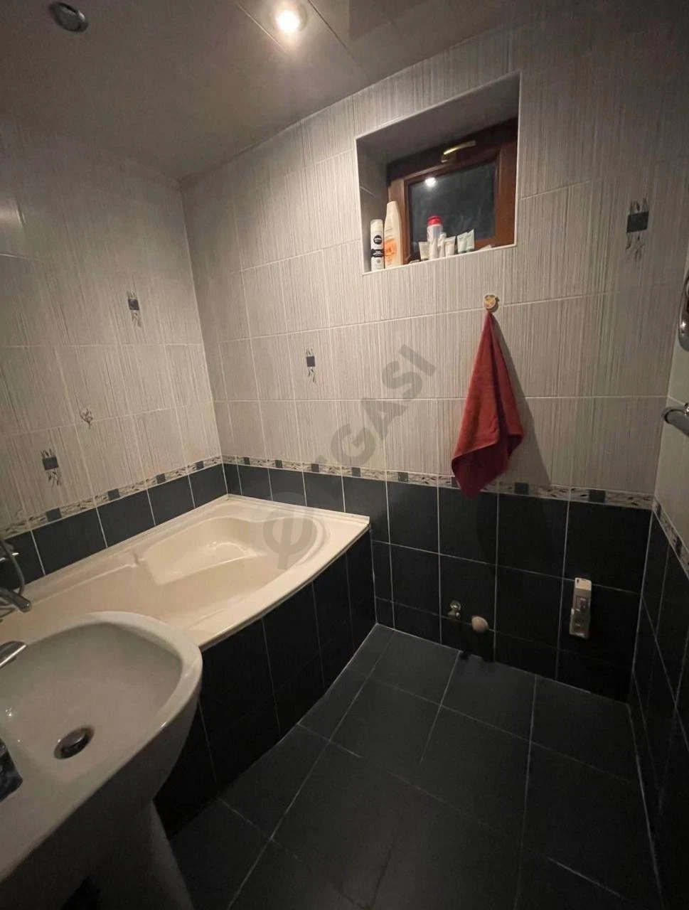 Image 7