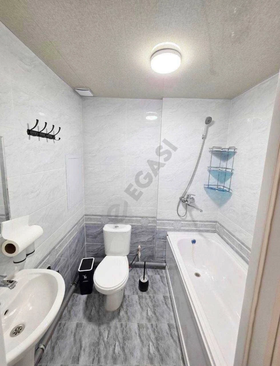 Image 6
