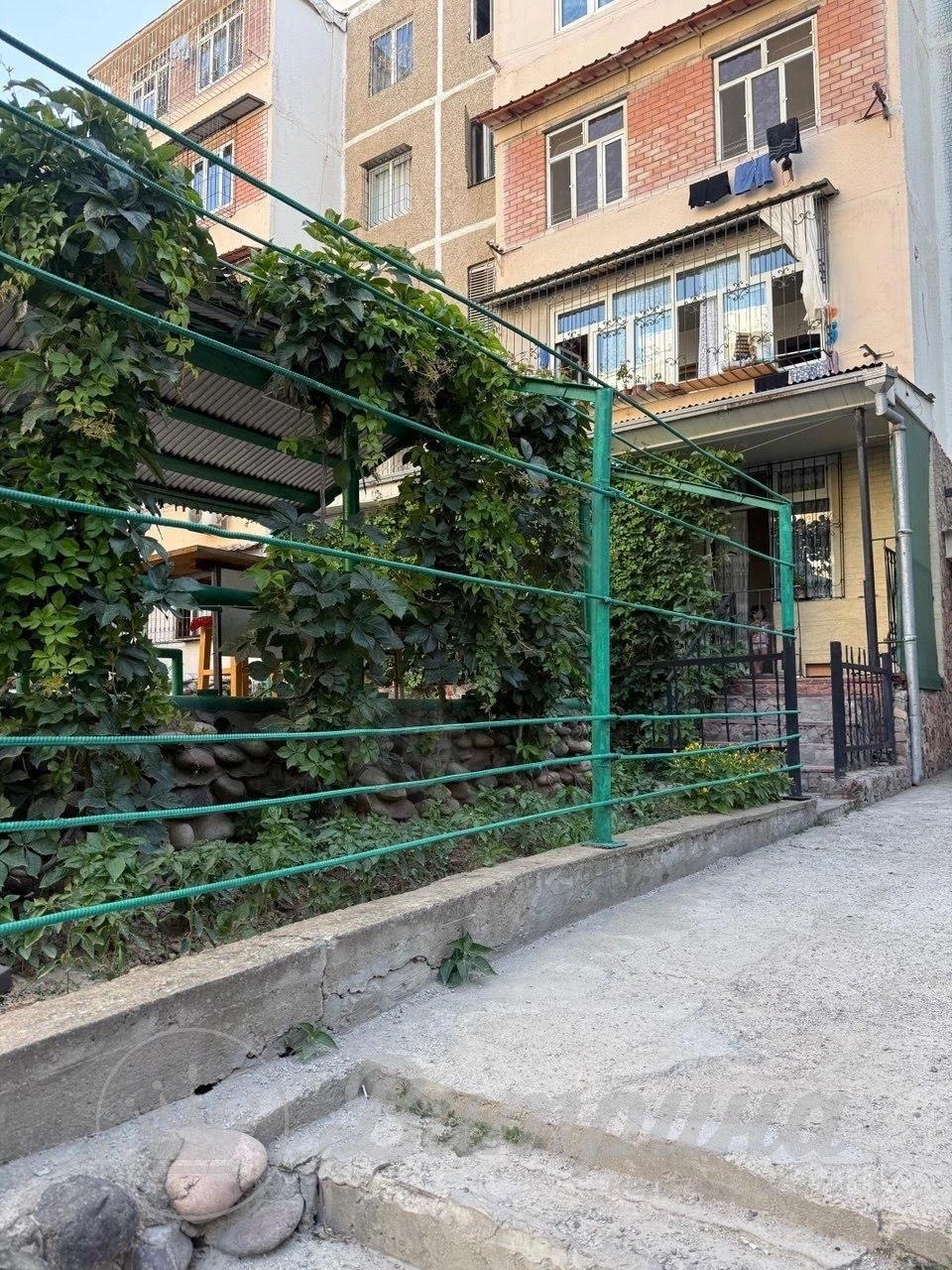 Image 6