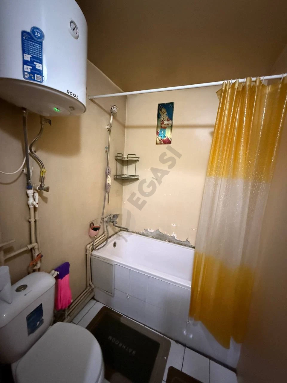 Image 3