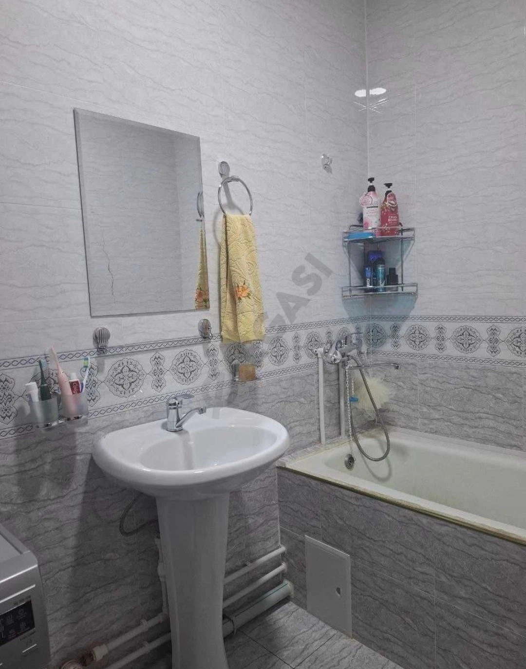 Image 7