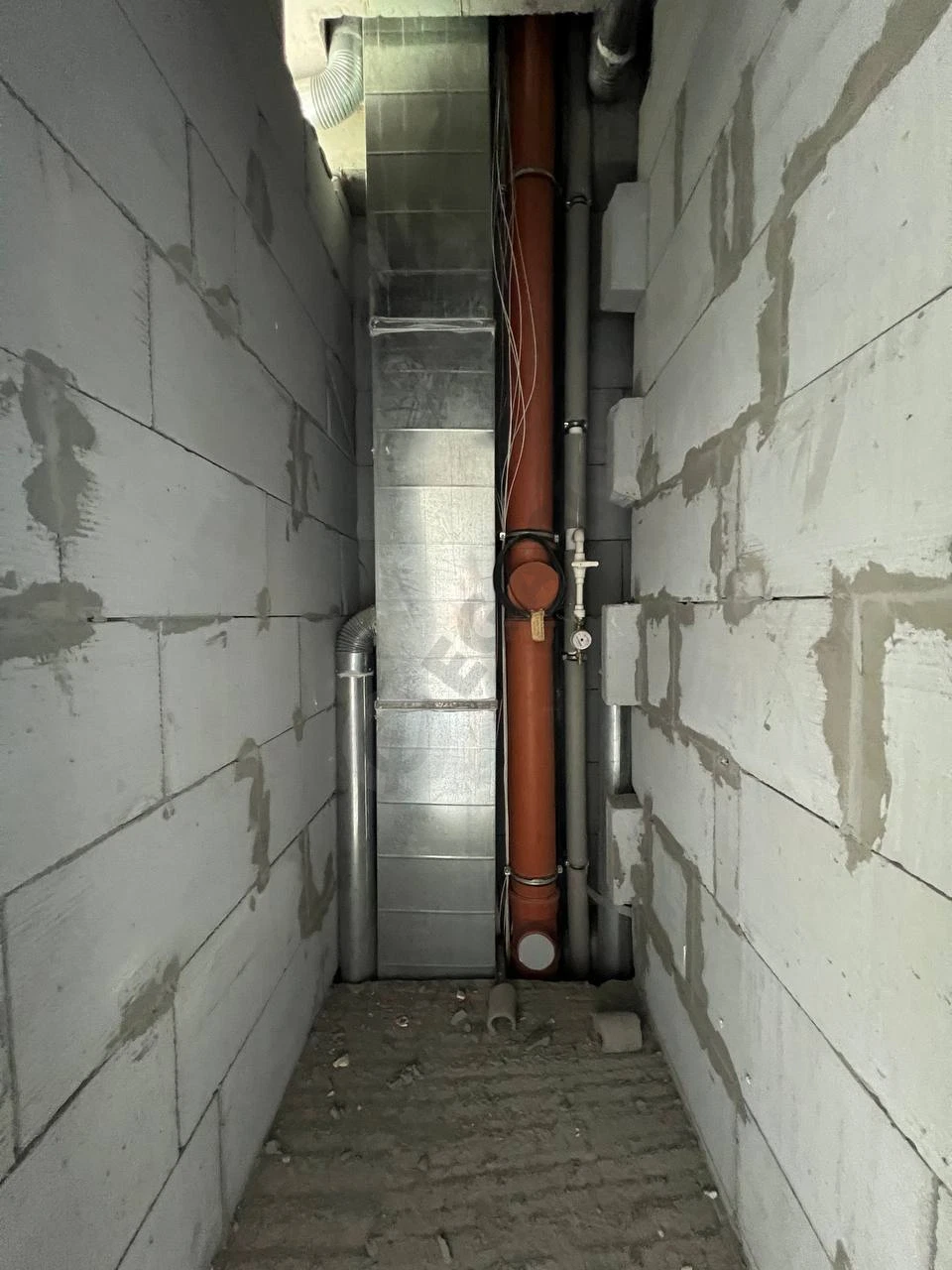 Image 8