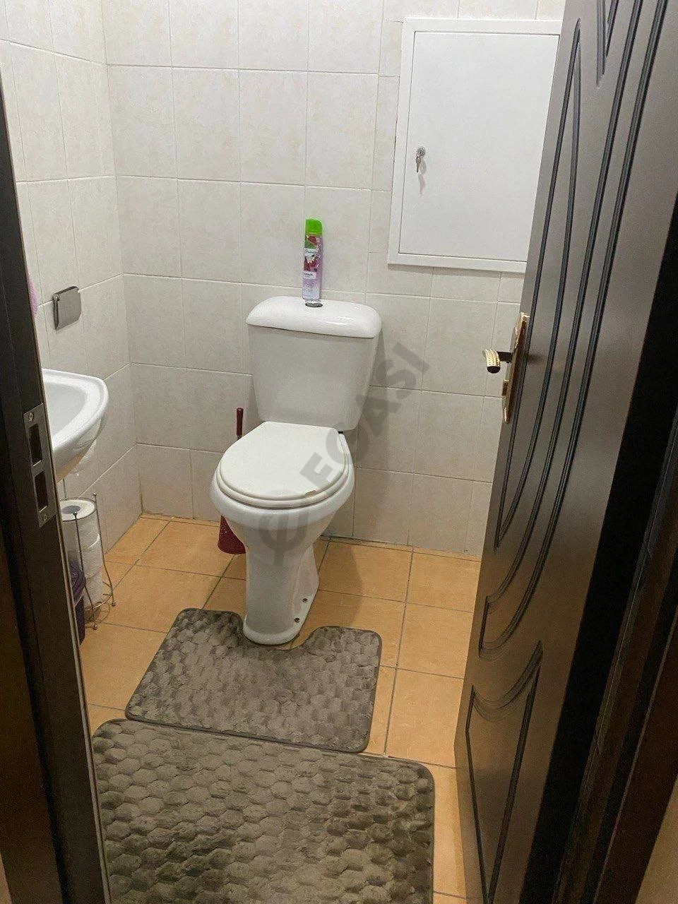 Image 8