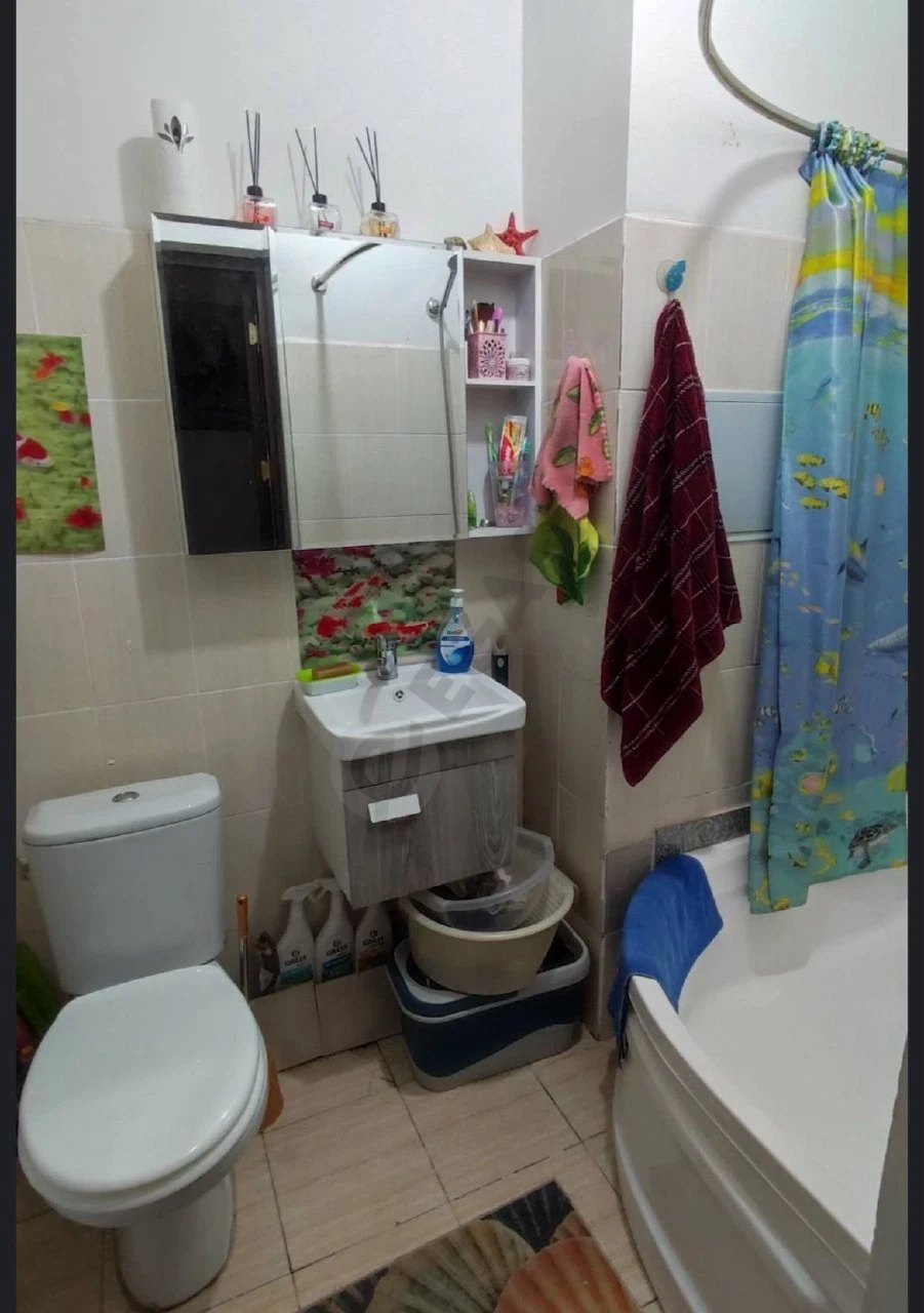 Image 8