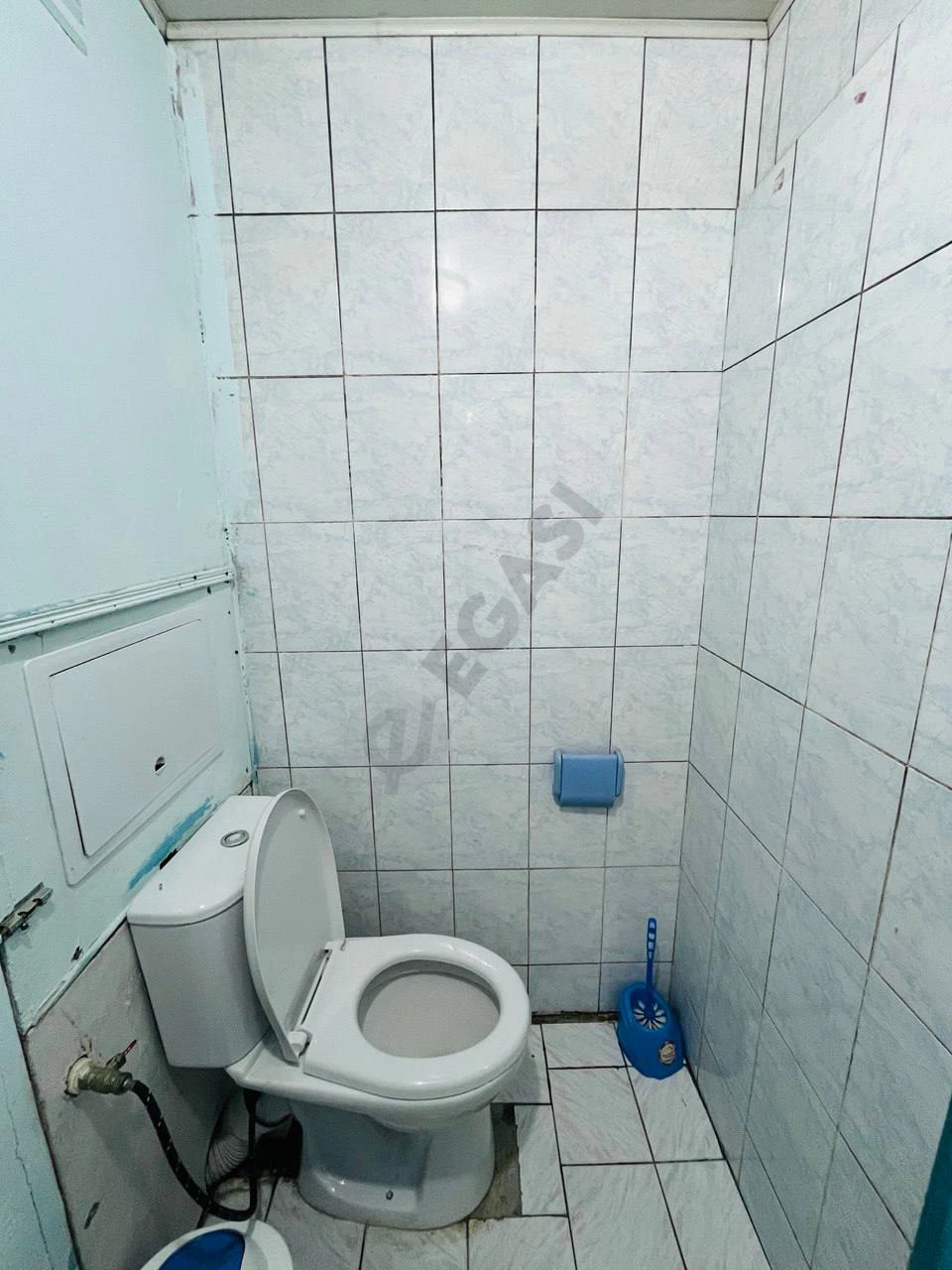 Image 7