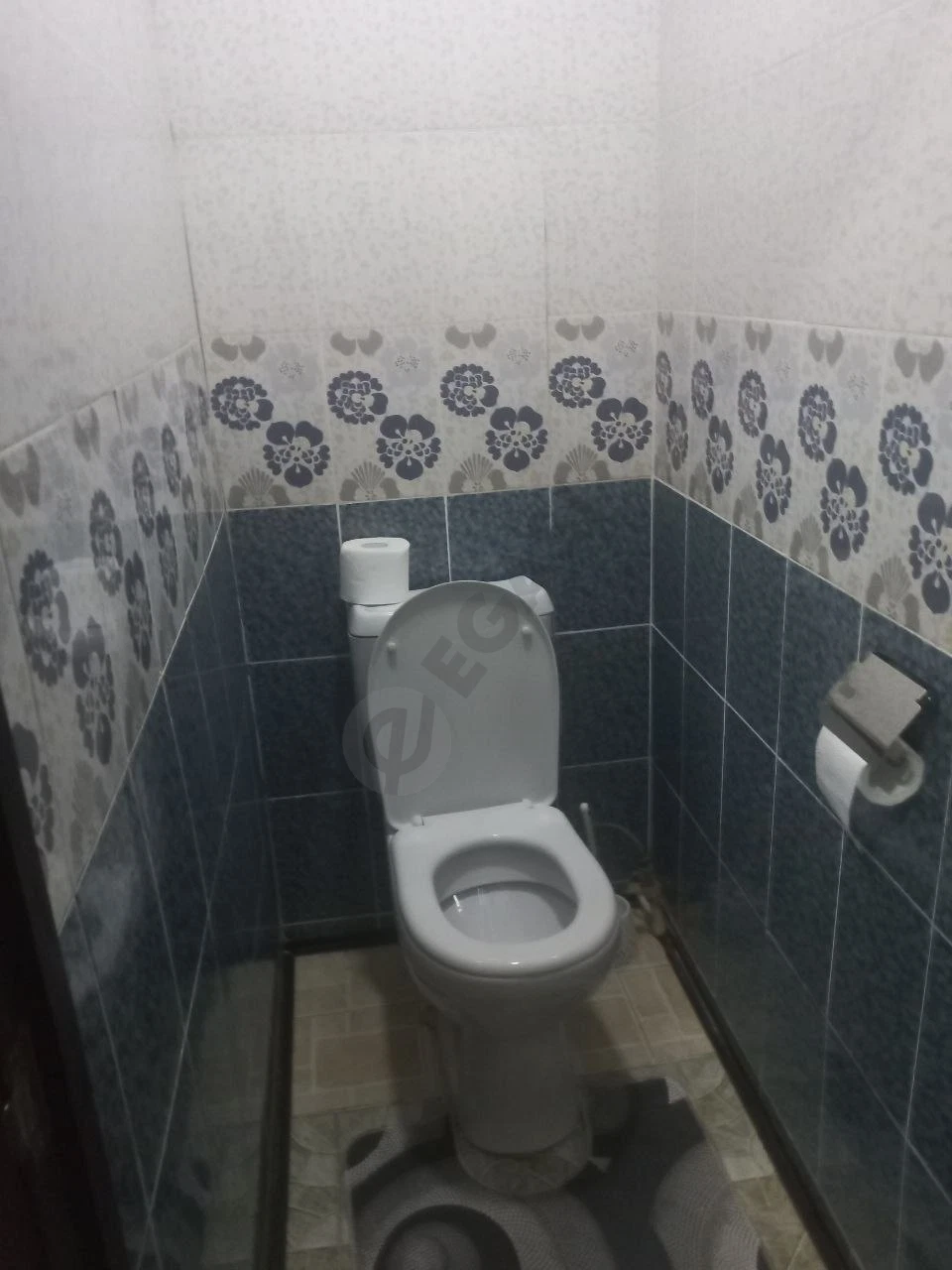 Image 6