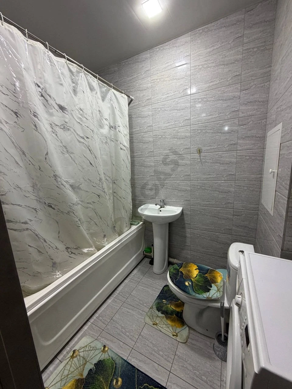 Image 7