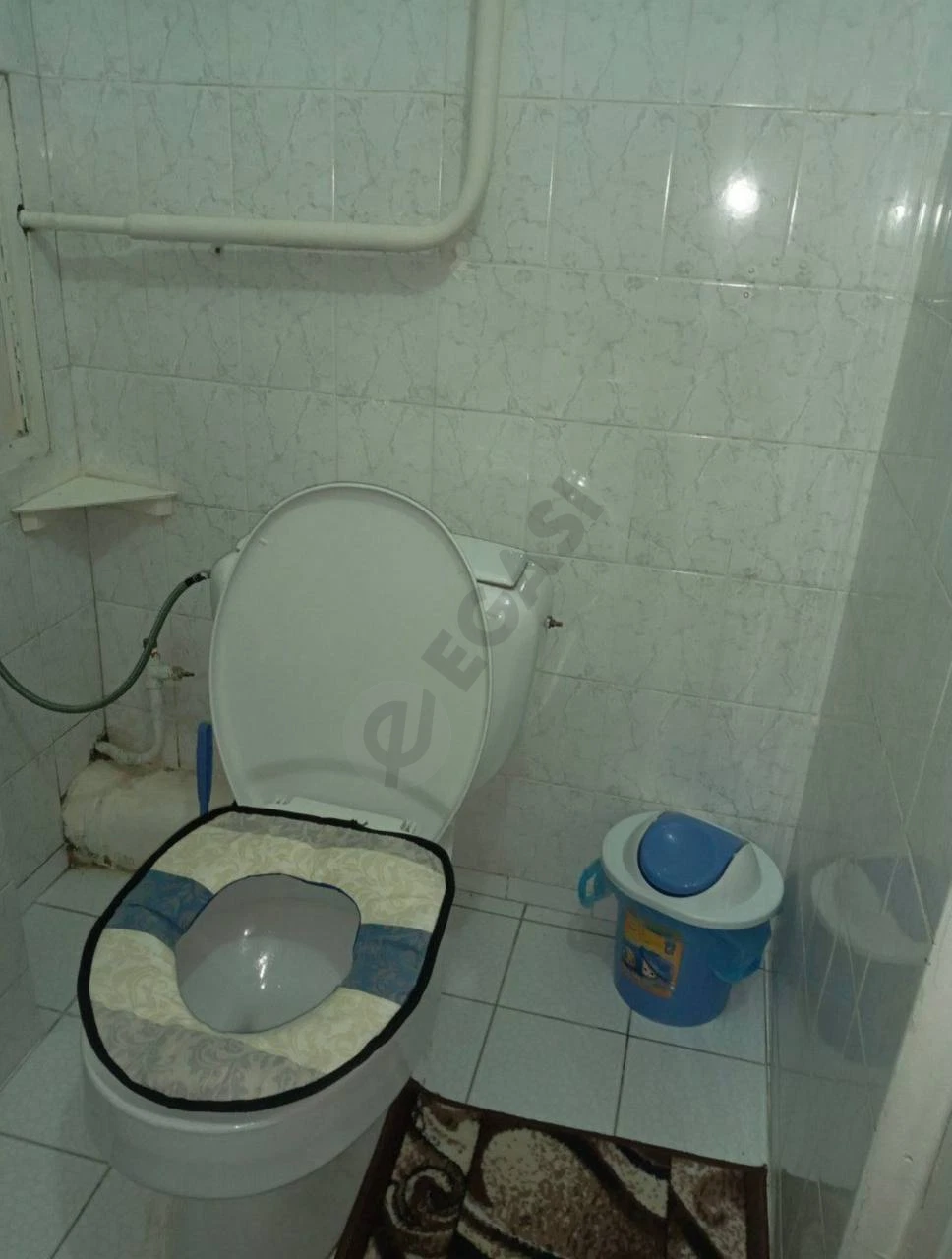 Image 6
