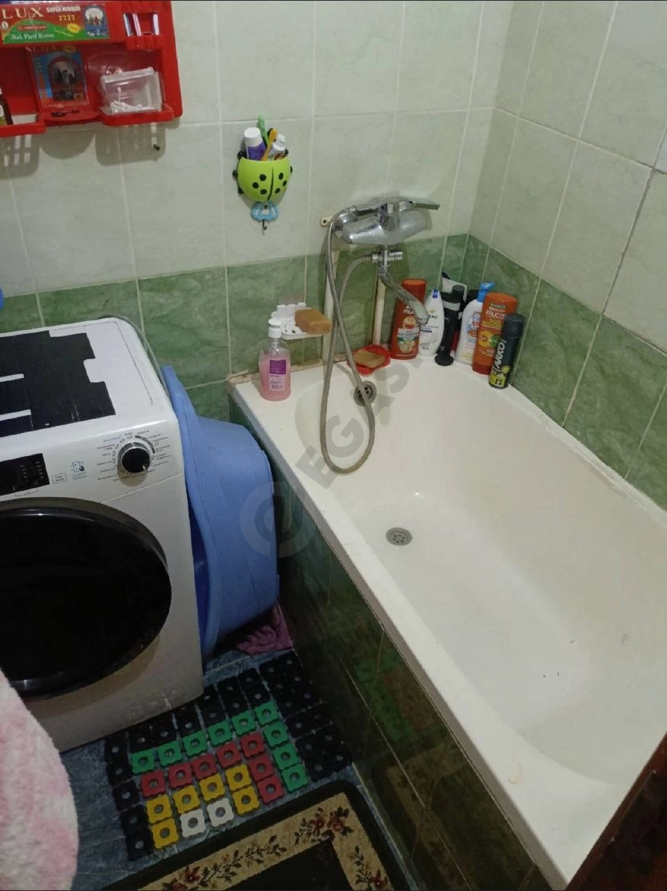 Image 7