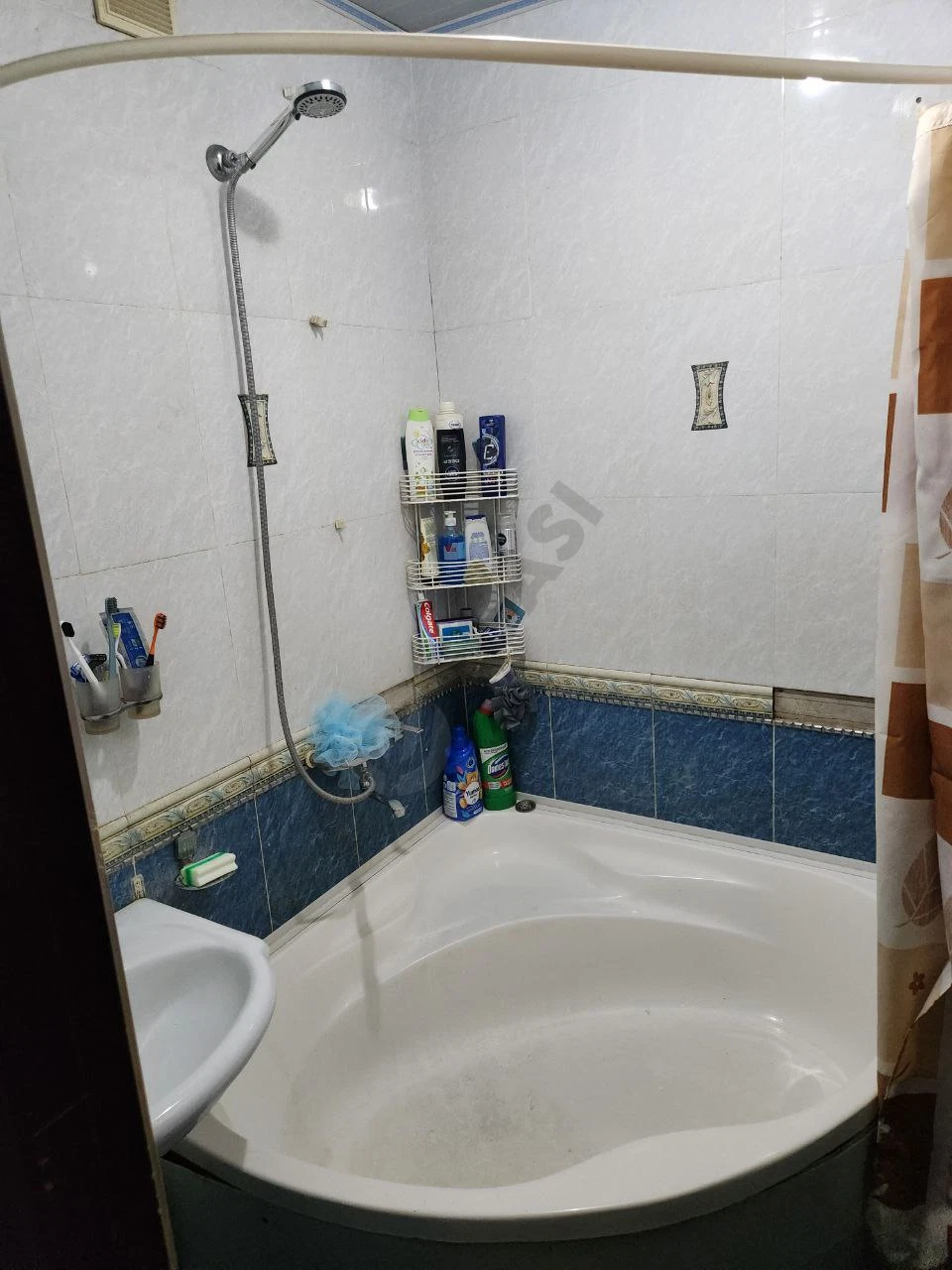 Image 5