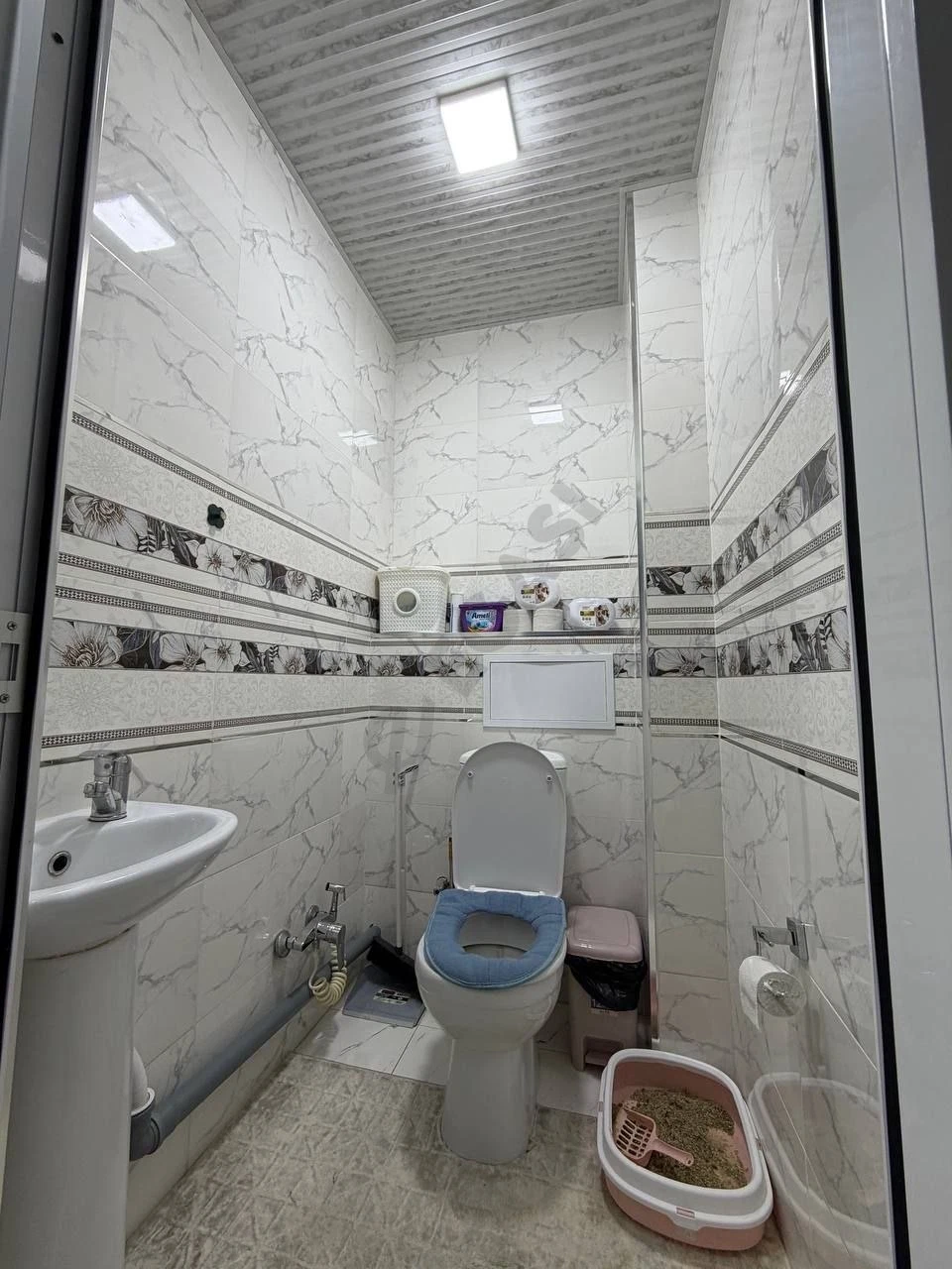 Image 8