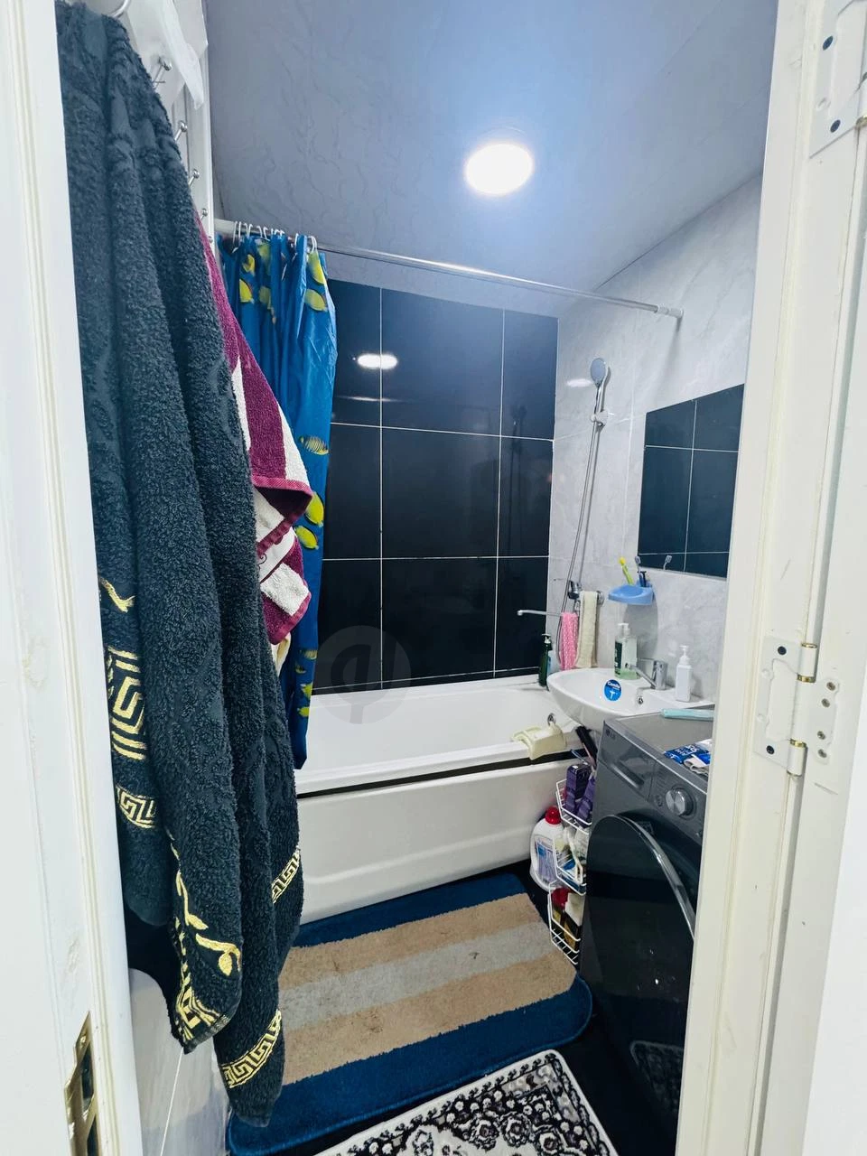 Image 5