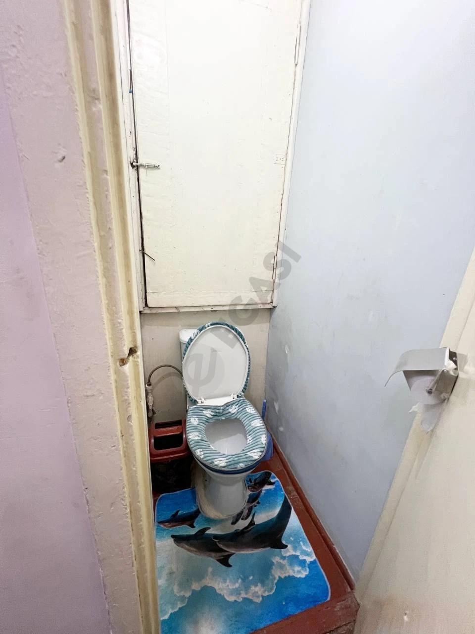 Image 6