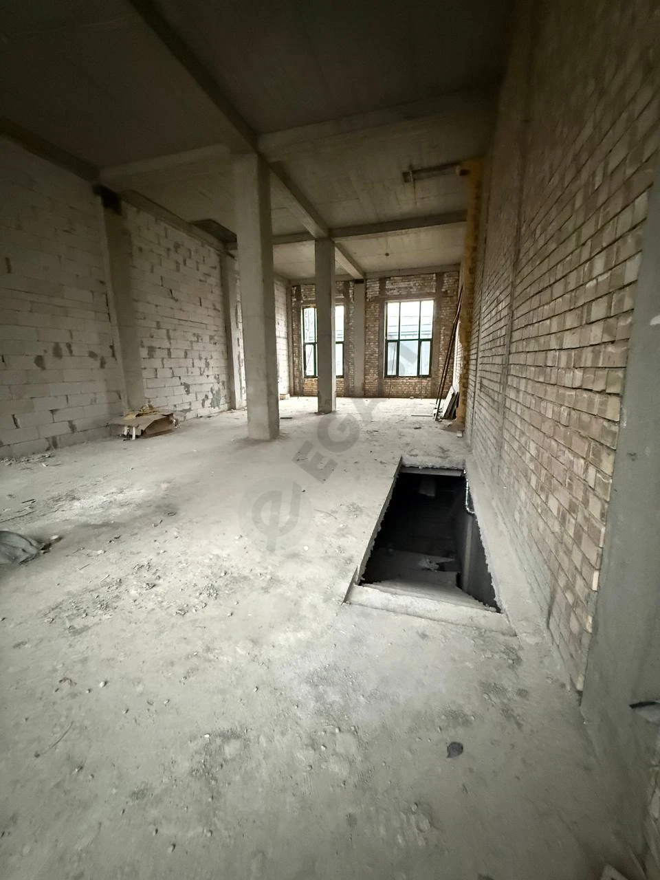 Image 6