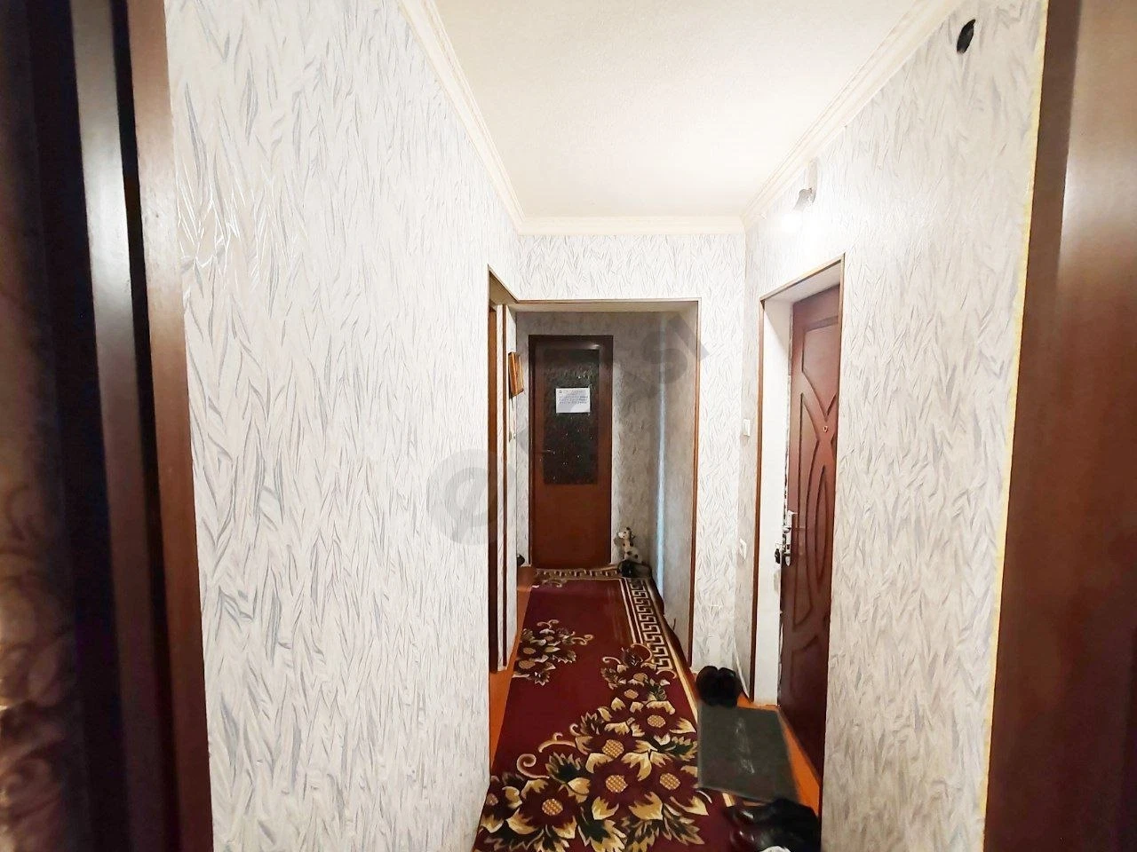 Image 7