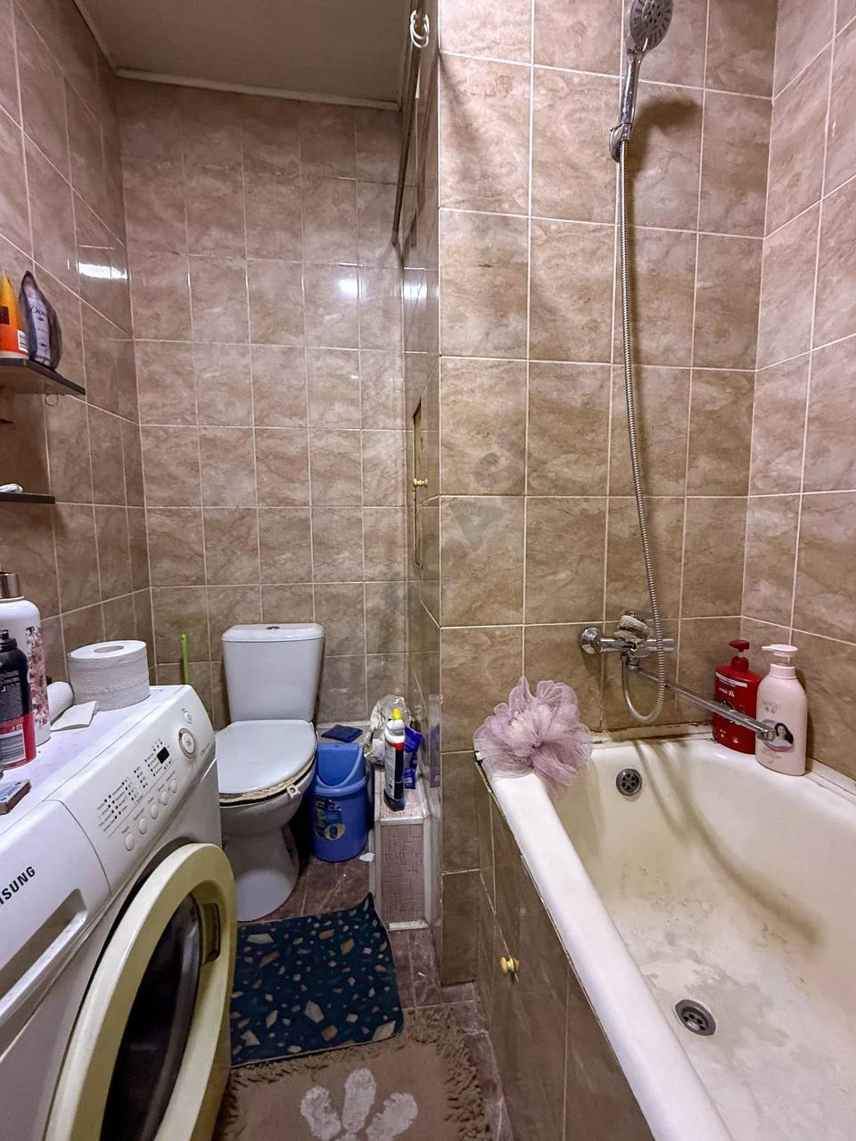 Image 5