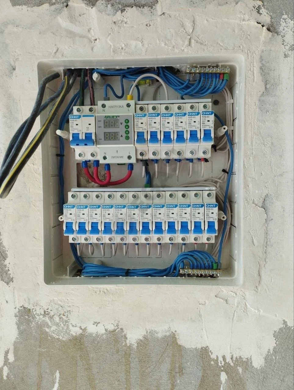 Image 6
