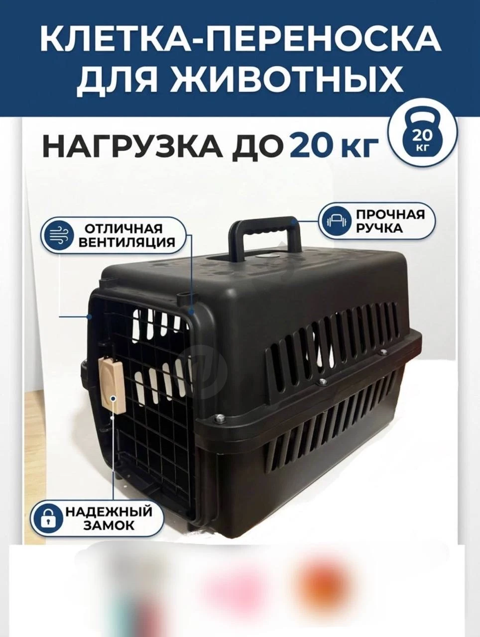 Advertisement - Cover Photo