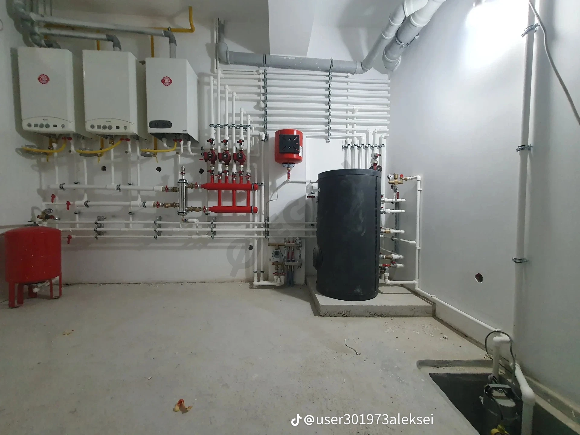 Image 6