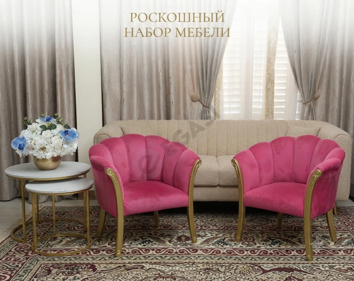 Kreslo Rakushka va jurnalniy stol - Cover Photo