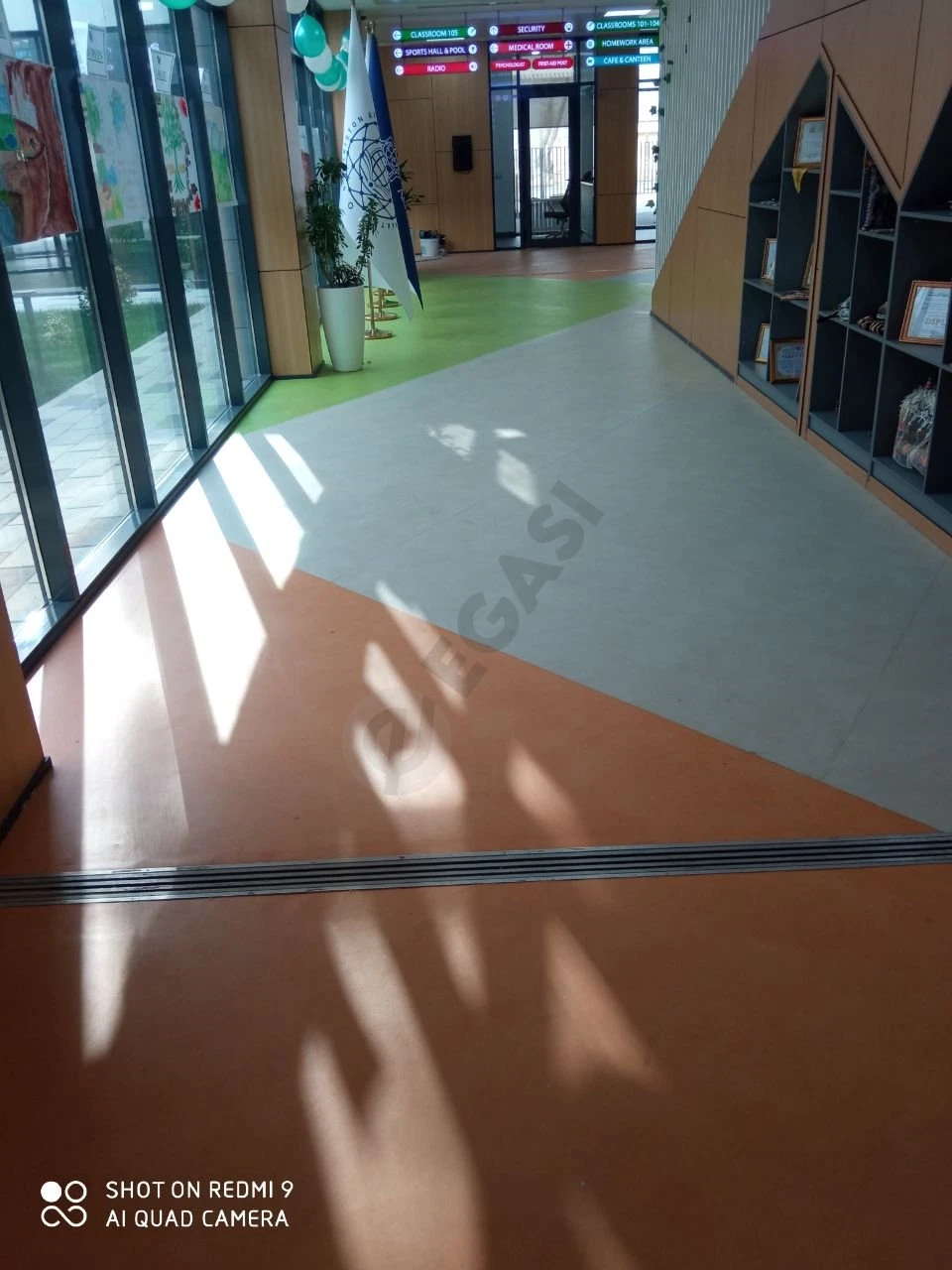 Image 11