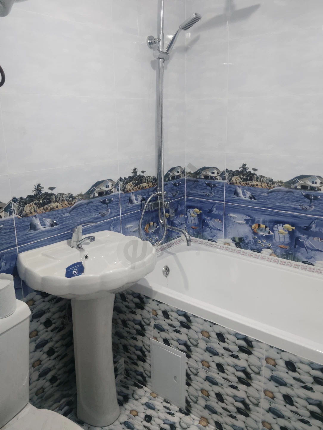 Image 7
