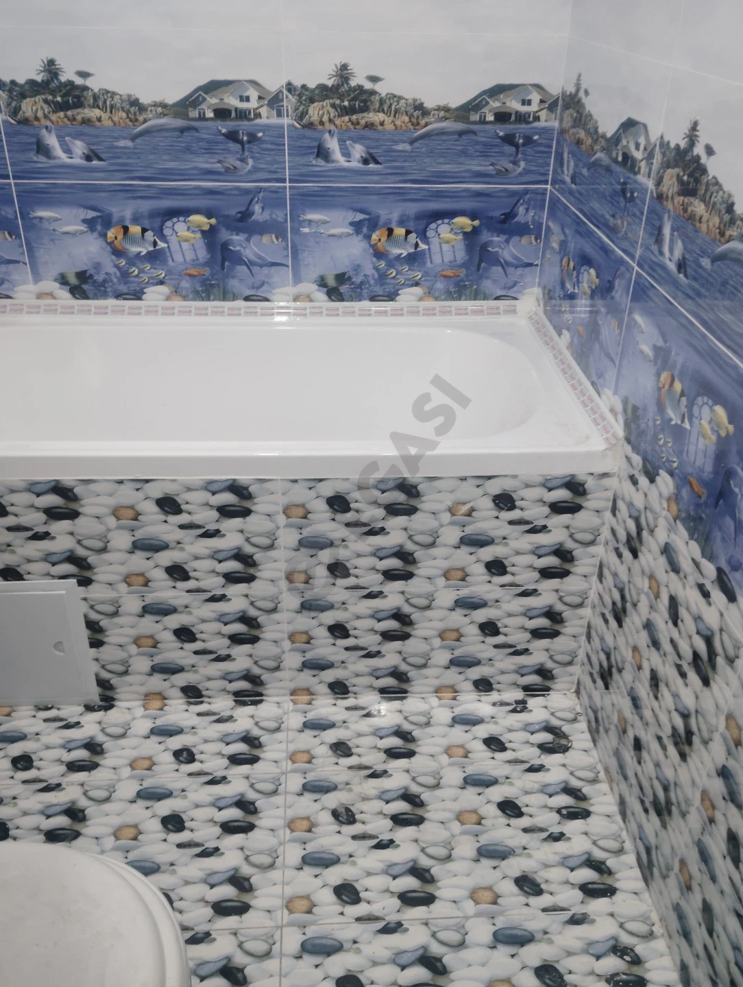 Image 8