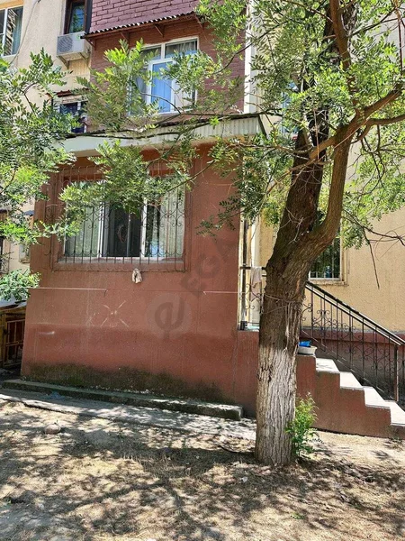 Image 11