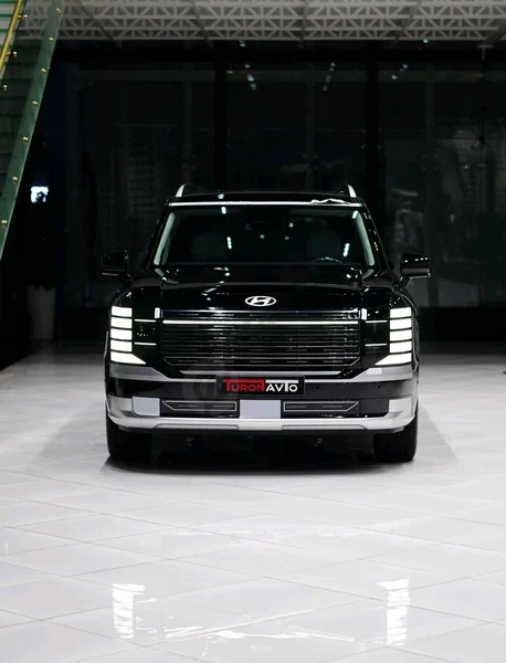 Hyundai palisade - Cover Photo