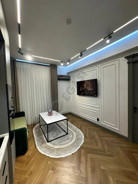 Image 7