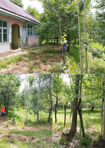 dacha uchun - Cover Photo