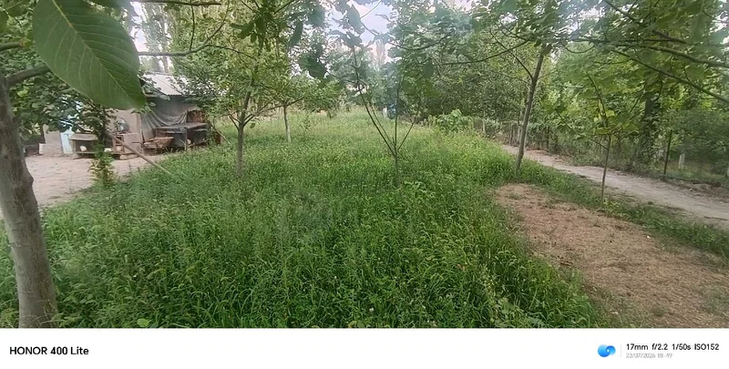 Image 13
