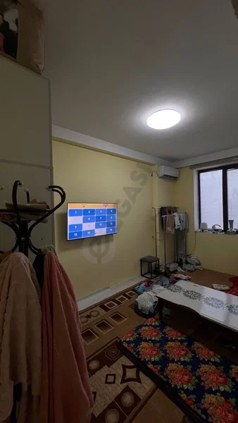 Image 5