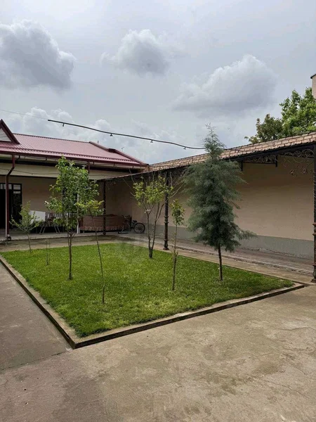 Image 8