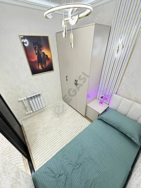 Image 5