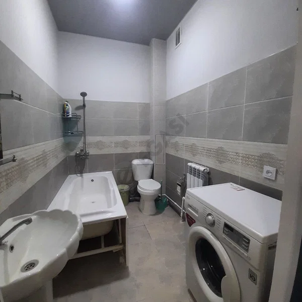 Image 4