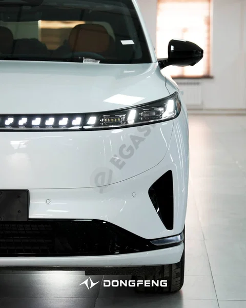 Dongfeng 008 - Cover Photo