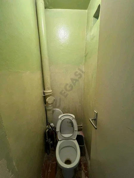 Image 7