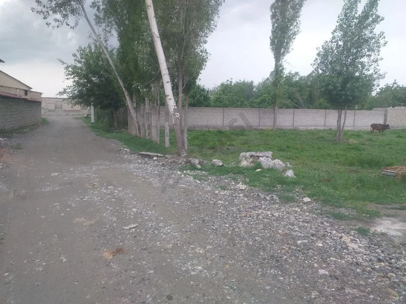 samarqand villoyti jomboy tumani nazar mahallasi - Cover Photo