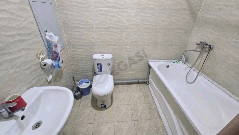Image 8