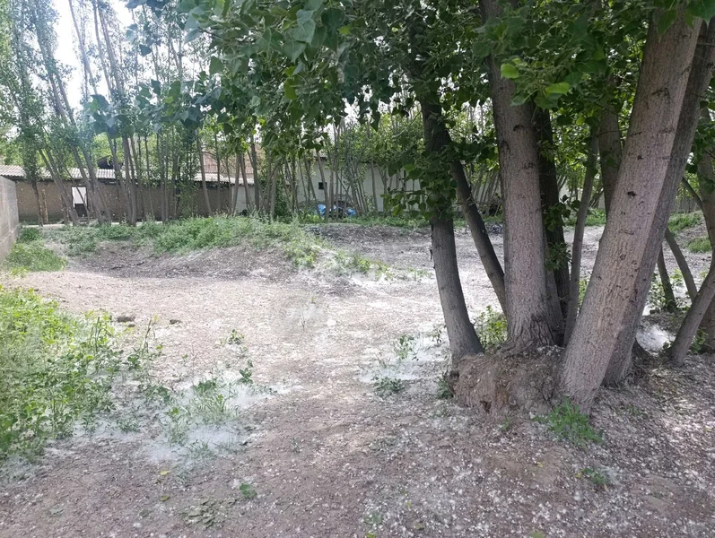 Image 8