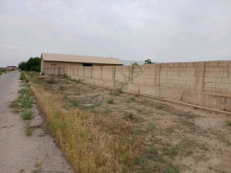 Image 9
