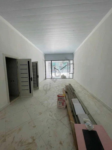 Image 8
