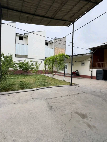 Image 8