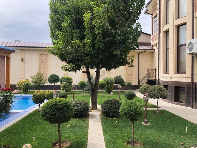 Image 10