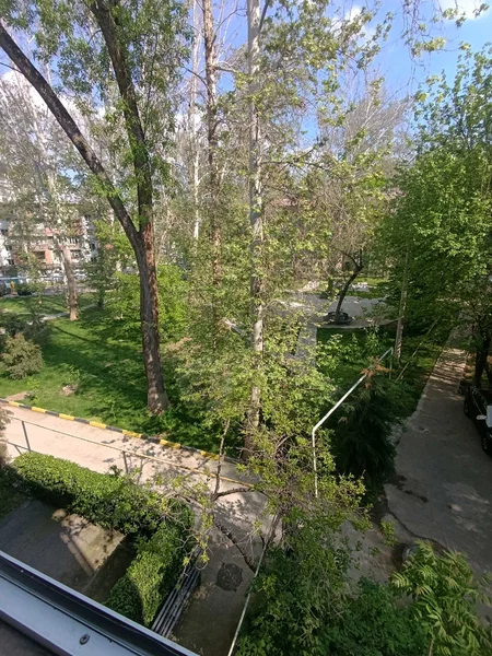Image 9