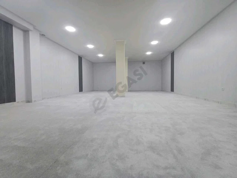 Image 6
