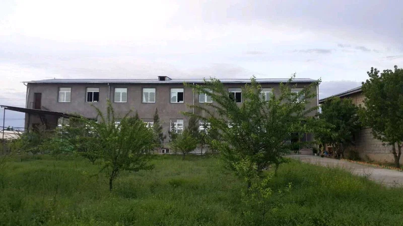 Image 3