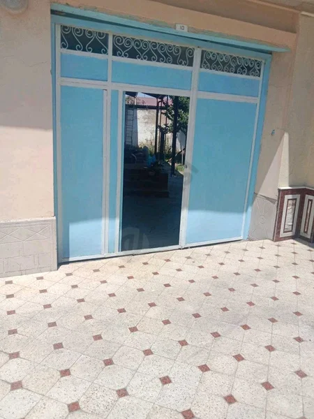 Image 5